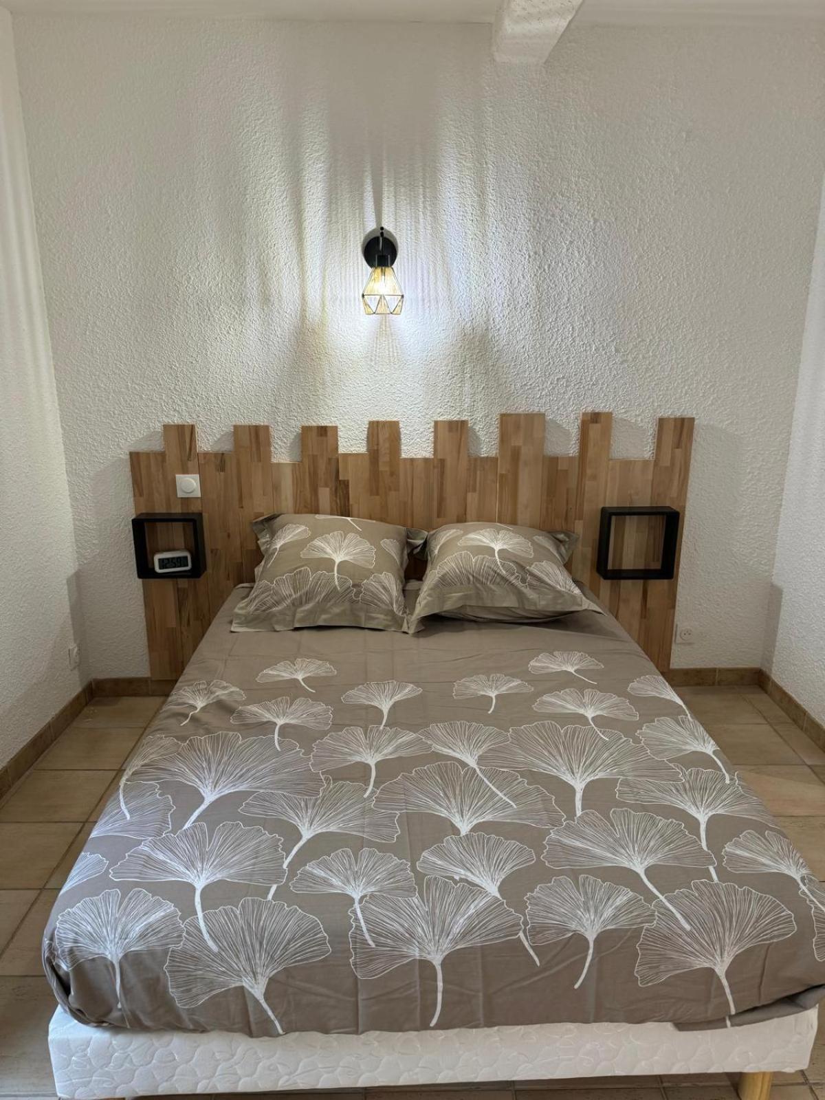 Charmant Appartement En Hypercentre De Castelnaudary Esterno foto